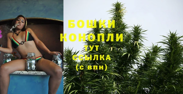 дмт Нягань