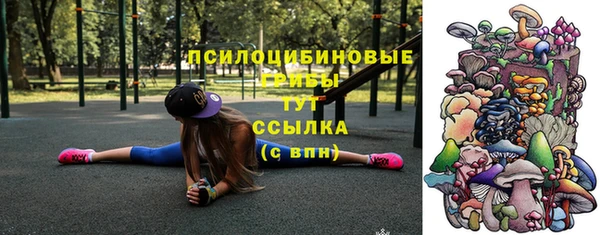 прущие крисы Гатчина