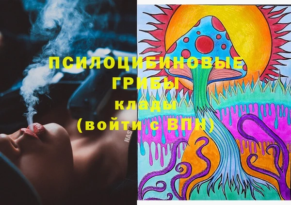 дмт Нягань
