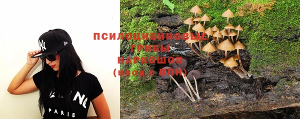 прущие крисы Няндома