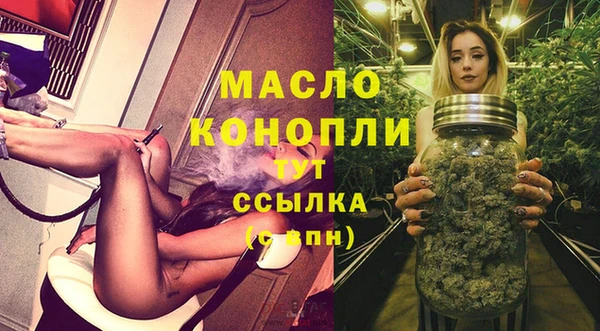 дмт Нягань