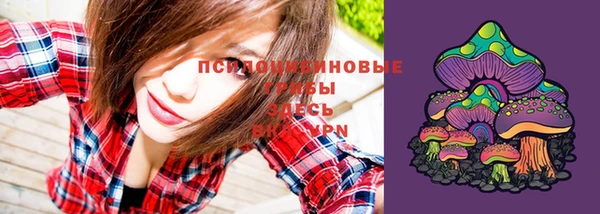 дмт Нягань