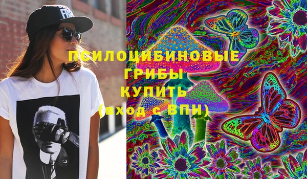 бошки Нязепетровск