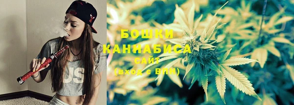 дмт Нягань
