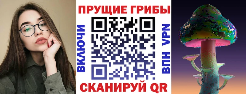 даркнет сайт  Тайга  Галлюциногенные грибы ЛСД 